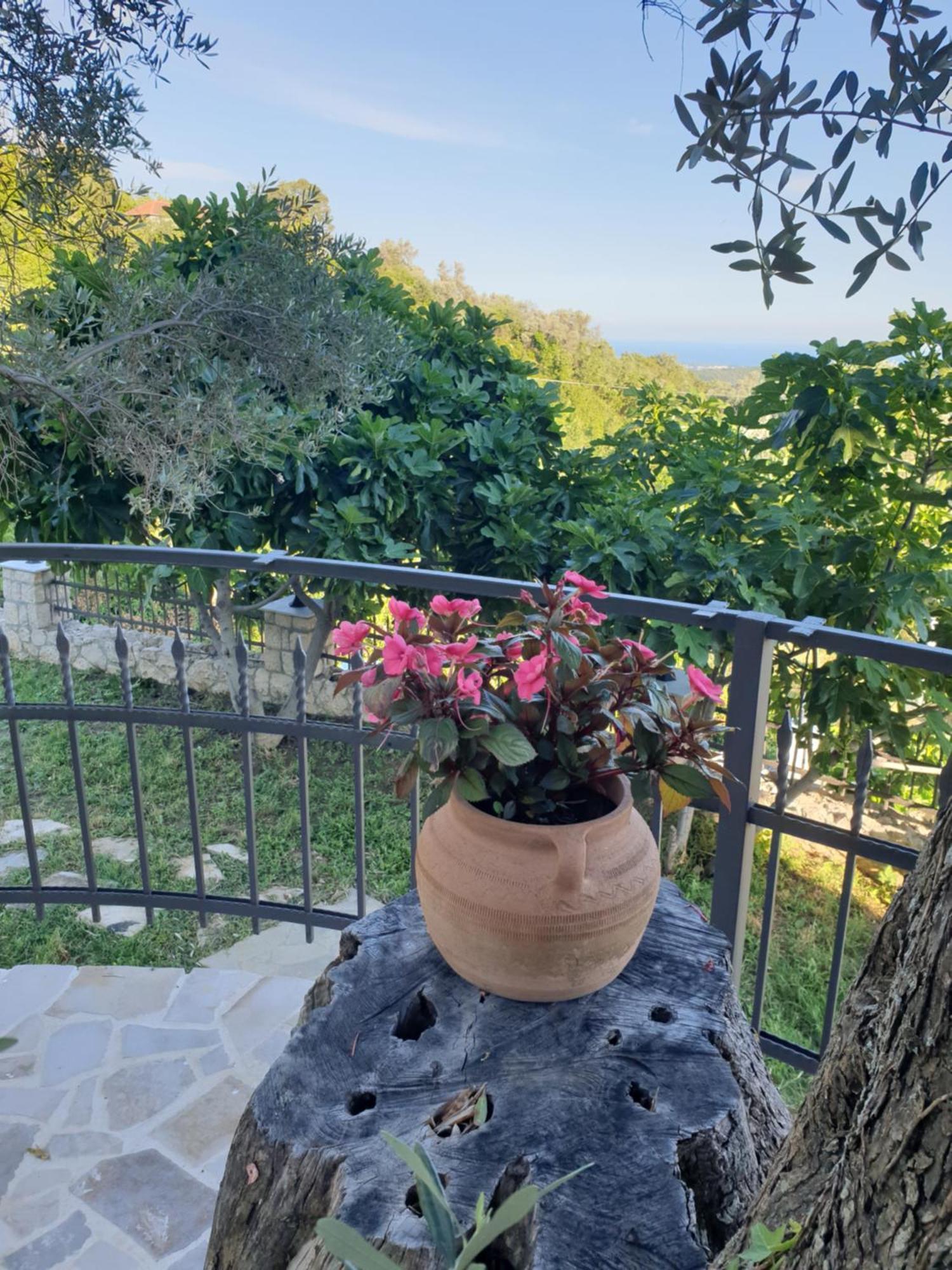 Rustic Villas Barlovic أولتْسي المظهر الخارجي الصورة